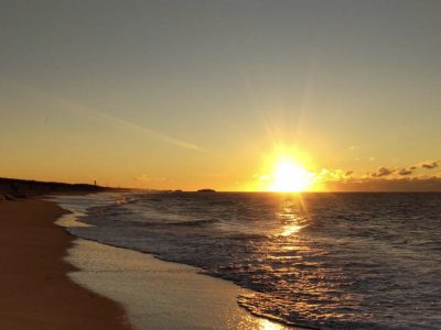 2022年もよろしくお願いいたします